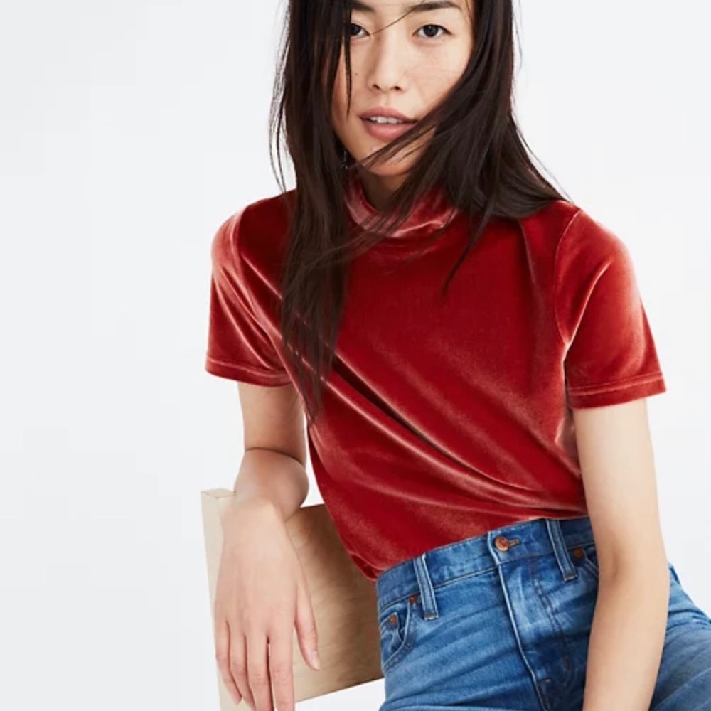 Madewell Velvet Terracotta Red Mock-neck Top